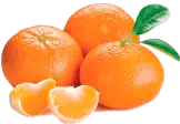 Egyptian Valencia Oranges