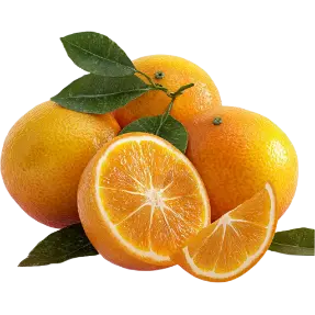 Egyptian Valencia Oranges